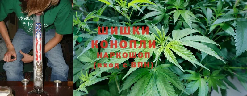 Конопля White Widow  Духовщина 